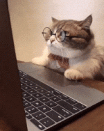 1728241614465.gif