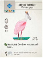 Spoonbill.PNG