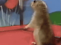 1728709389691.gif