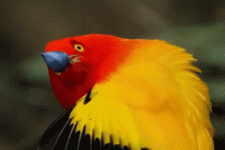 1728996435470.gif