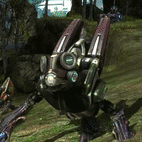 imageedit_1_2588986928.gif