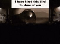 19c.gif