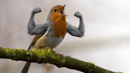 1728191841489.png