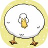 Quack